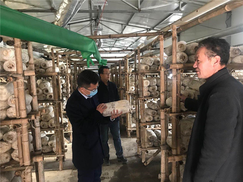 202004081586308006207757.jpg 5dffeb28-cfec-4fae-9d31-153f1f97dccc.jpg