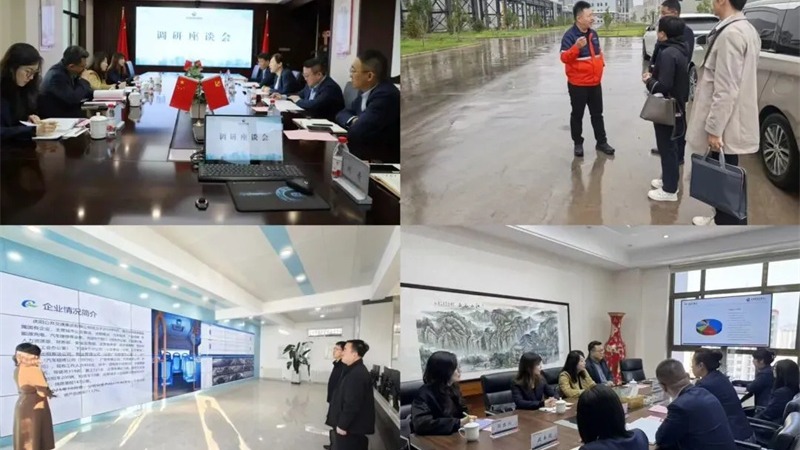 甘肅金控集團(tuán)圓滿(mǎn)完成“外部董事調(diào)研月”工作